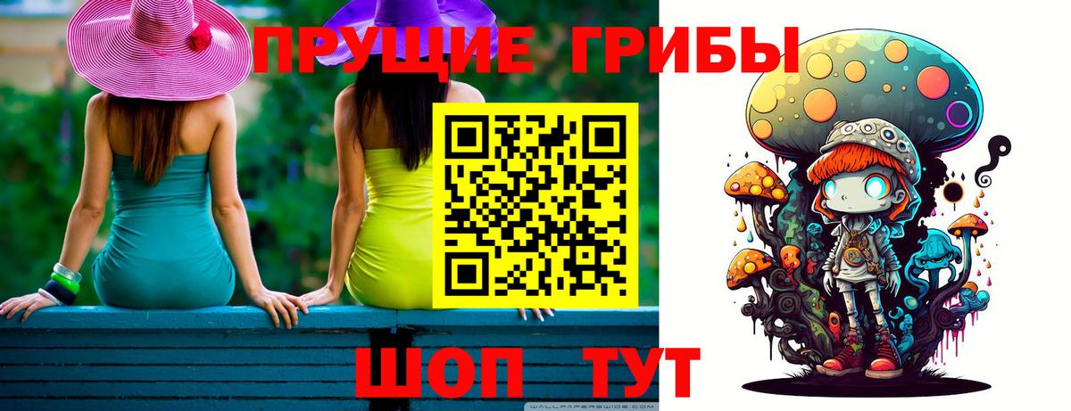Тайшет  Галлюциногенные грибы Cubensis  Вход с VPN 