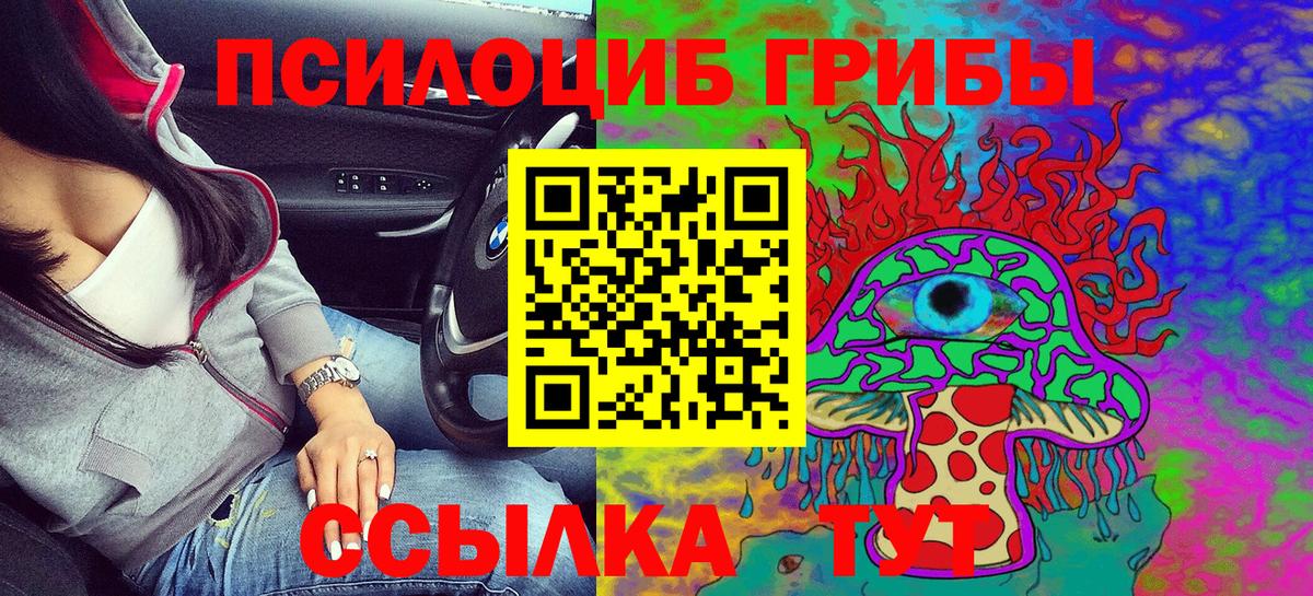 Галлюциногенные грибы Psilocybe Тайшет